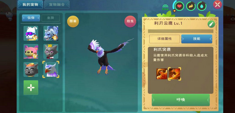 创造与魔法最强战宠是什么
