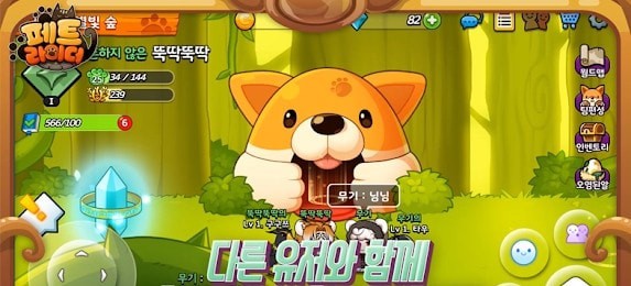 萌宠骑师