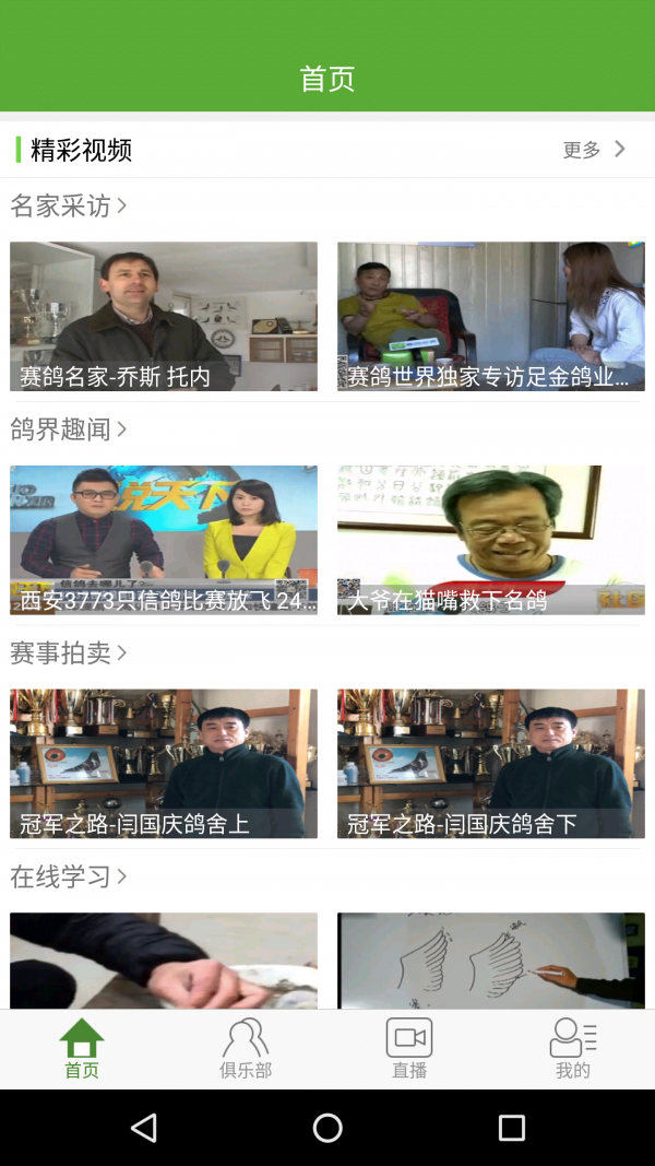 赛鸽世界