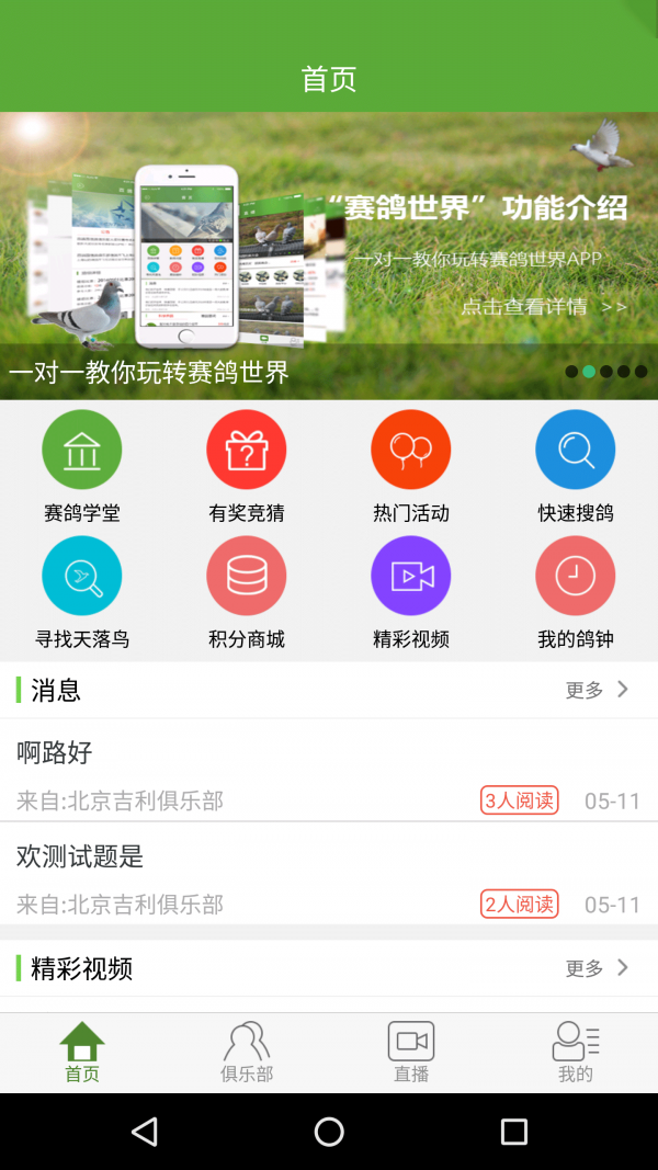 赛鸽世界