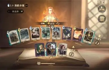 哈利波特魔法觉醒龟壳流
