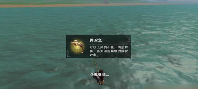 创造与魔法弹涂鱼在哪里