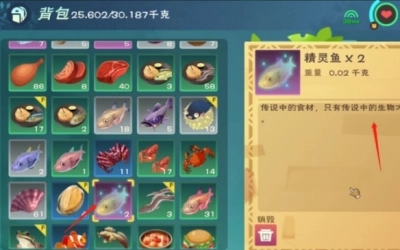 创造与魔法精灵鱼哪个地方钓的几率大