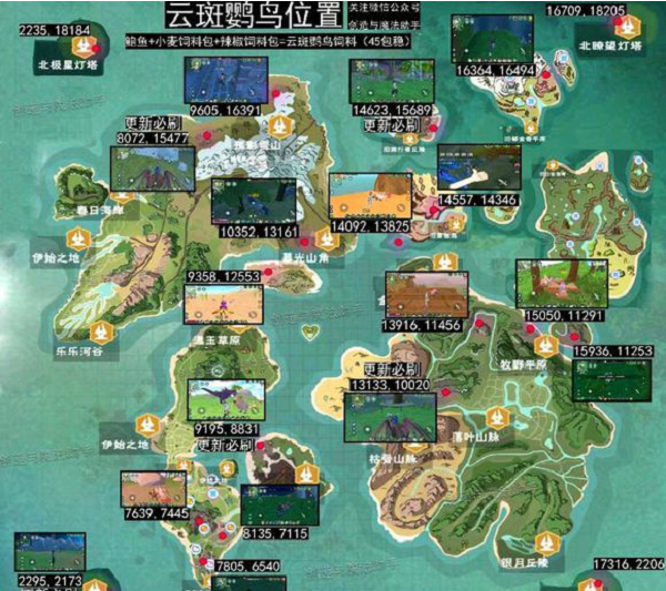 创造与魔法鹦鸟位置哪里刷新率高