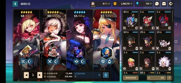 坎公骑冠剑最强暗队
