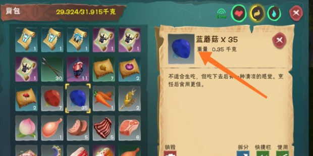 创造与魔法蓝蜥蜴饲料保底多少包