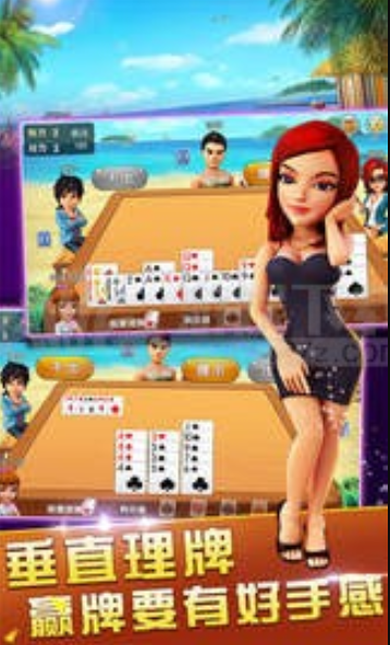 最新95牌棋官网版