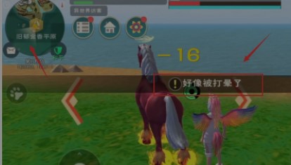 创造与魔法红马速度多少算极品