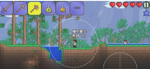 泰拉瑞亚玩点在哪