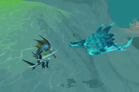 创造与魔法鳞甲海龟在哪里