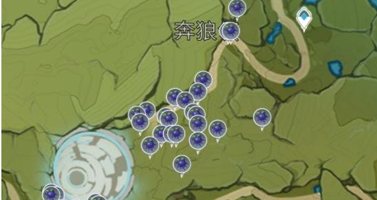 原神钩钩果分布在哪里多