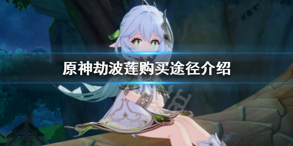 原神劫波莲哪里买