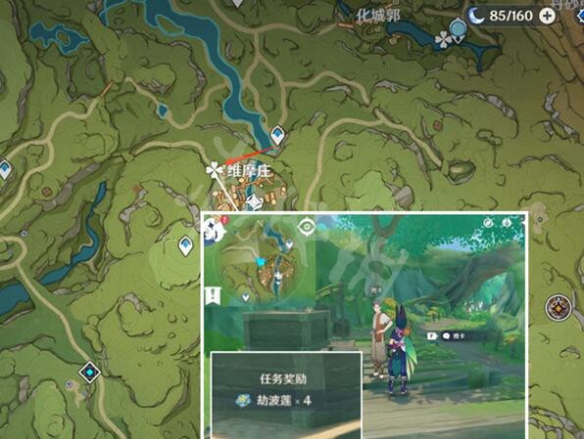 原神劫波莲哪里买