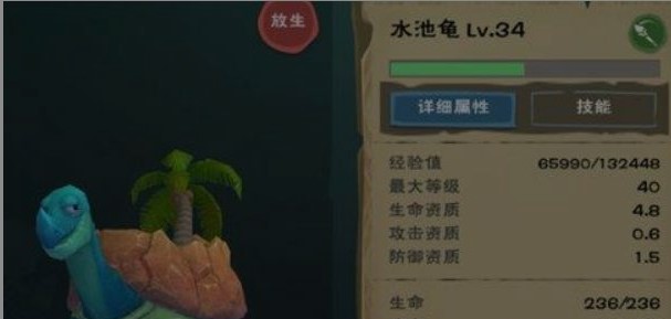 创造与魔法水池龟饲料多少包稳