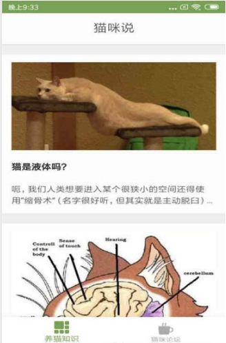 猫咪生活圈