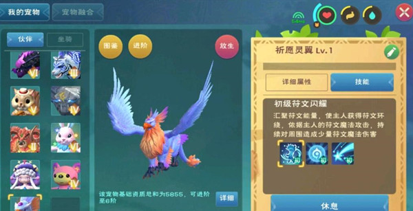 创造与魔法宠物等级可以超过主人吗 创造与魔法宠物等级可以超过主人吗
