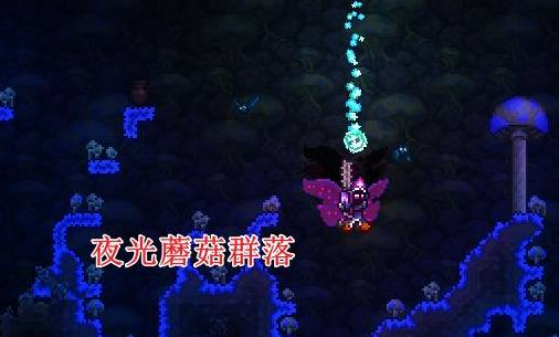 泰拉瑞亚怎么造蘑菇人的房子 泰拉瑞亚怎么造蘑菇人的房子