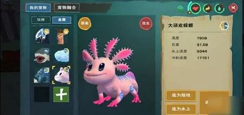 创造与魔法蝾螈饲料怎样制作