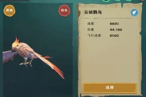 创造与魔法云斑鹦鸟在哪