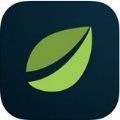 loboex交易所官网版