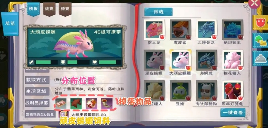 创造与魔法蝾螈的饲料需要什么 宠物捕捉介绍