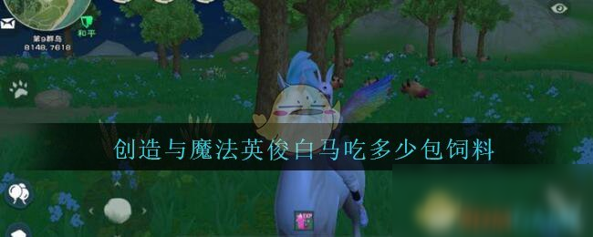 创造与魔法英俊白马饲料怎么做 配方选择推荐 创造与魔法英俊白马饲料怎么做 配方选择推荐