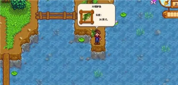 星露谷物语手机如何钓鱼 鱼竿购买攻略