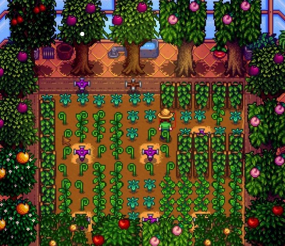 星露谷物语果树怎么种植 果树收成如何 星露谷物语果树怎么种植 果树收成如何