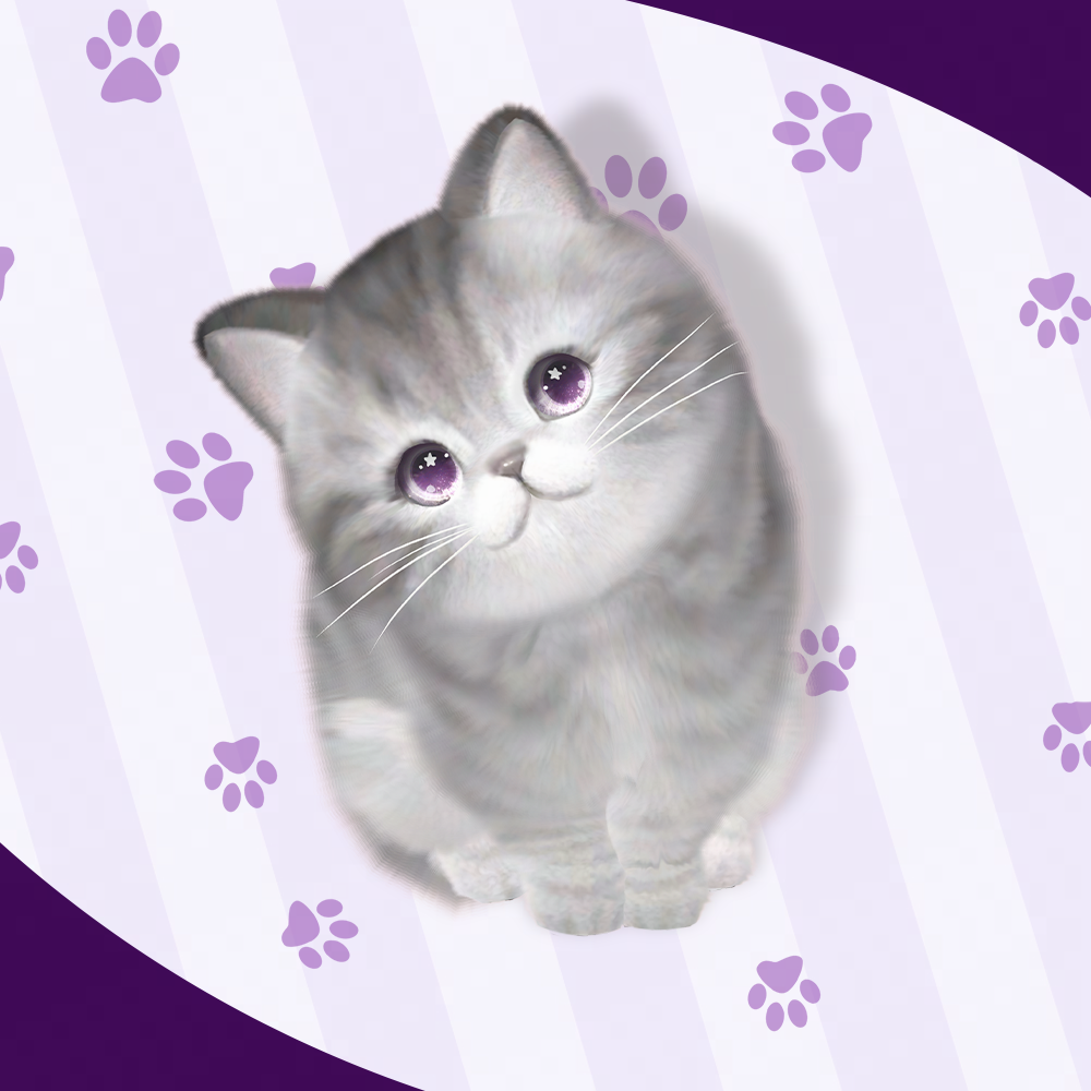 《绝对演绎》宠物系统更新,打造堪比猫咖的温馨喵之家 《绝对演绎》宠物系统更新,打造堪比猫咖的温馨喵之家