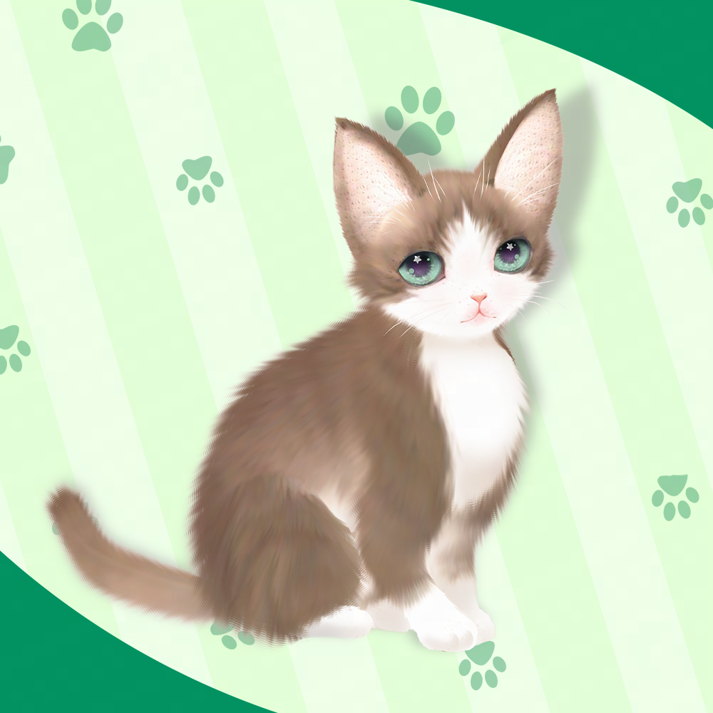 《绝对演绎》宠物系统更新,打造堪比猫咖的温馨喵之家 《绝对演绎》宠物系统更新,打造堪比猫咖的温馨喵之家