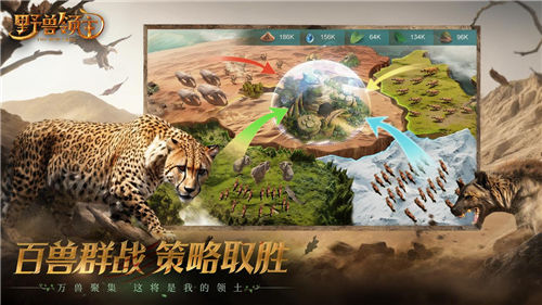 《野兽领主:新世界》邀您走进野兽世界,体验动物生存之战 《野兽领主:新世界》邀您走进野兽世界,体验动物生存之战