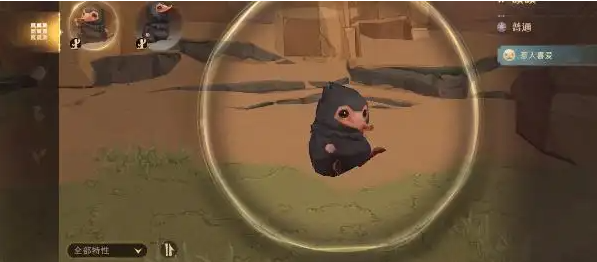 哈利波特魔法觉醒帐篷怎么用