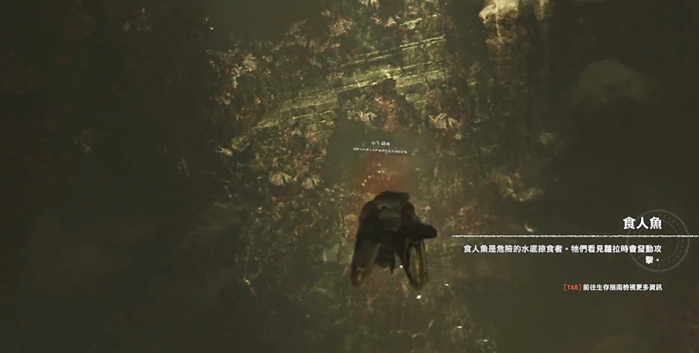古墓丽影怎么躲过食人鱼