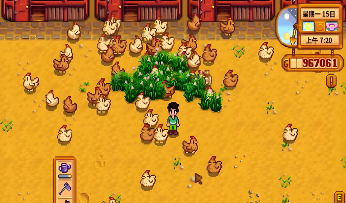 星露谷物语养鸡怎么赚钱