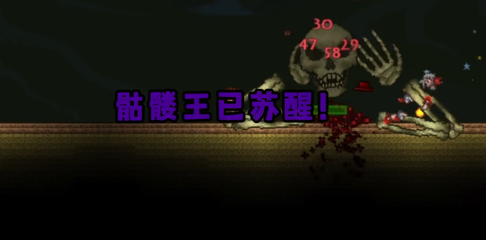 泰拉瑞亚专家骷髅王怎么打