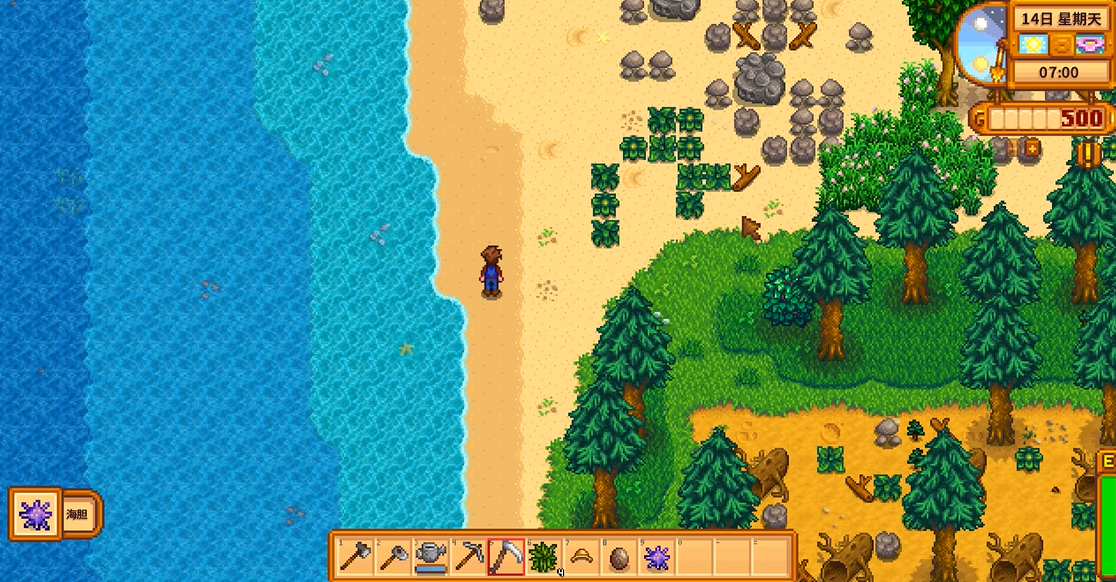 星露谷物语海胆怎么获得