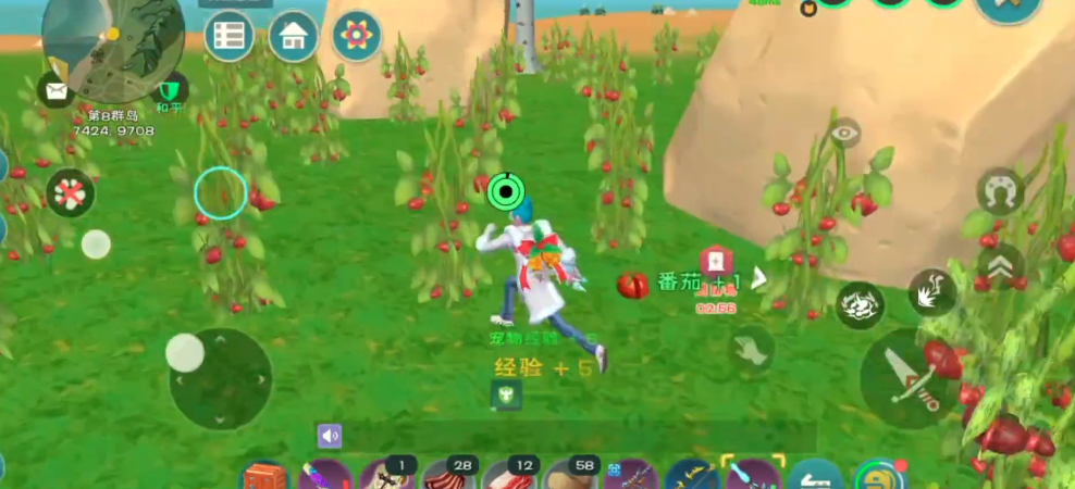 创造与魔法番茄哪里多