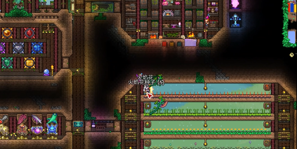 泰拉瑞亚怎么催熟种子