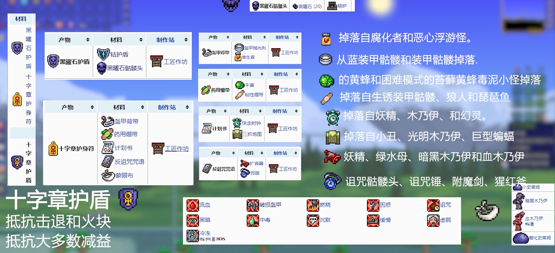 泰拉瑞亚有什么饰品