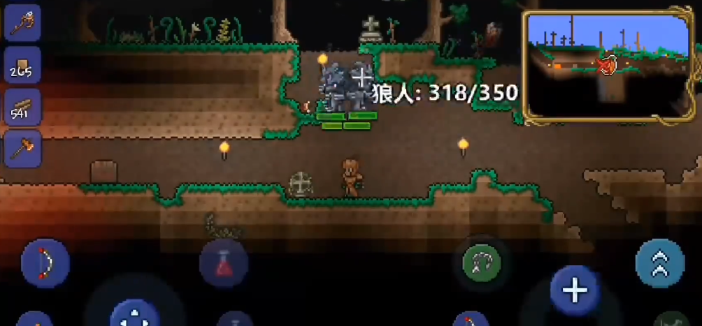 泰拉瑞亚狼人出现在哪里