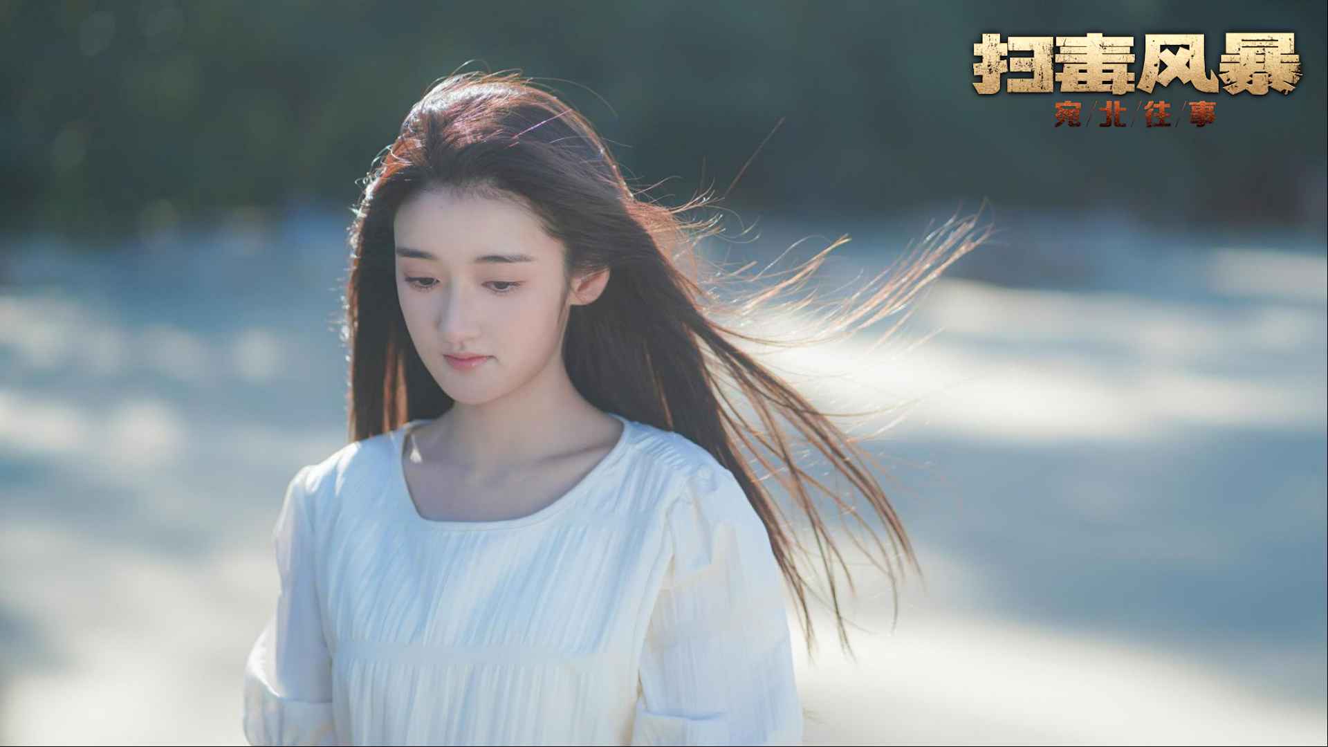 扫毒风暴