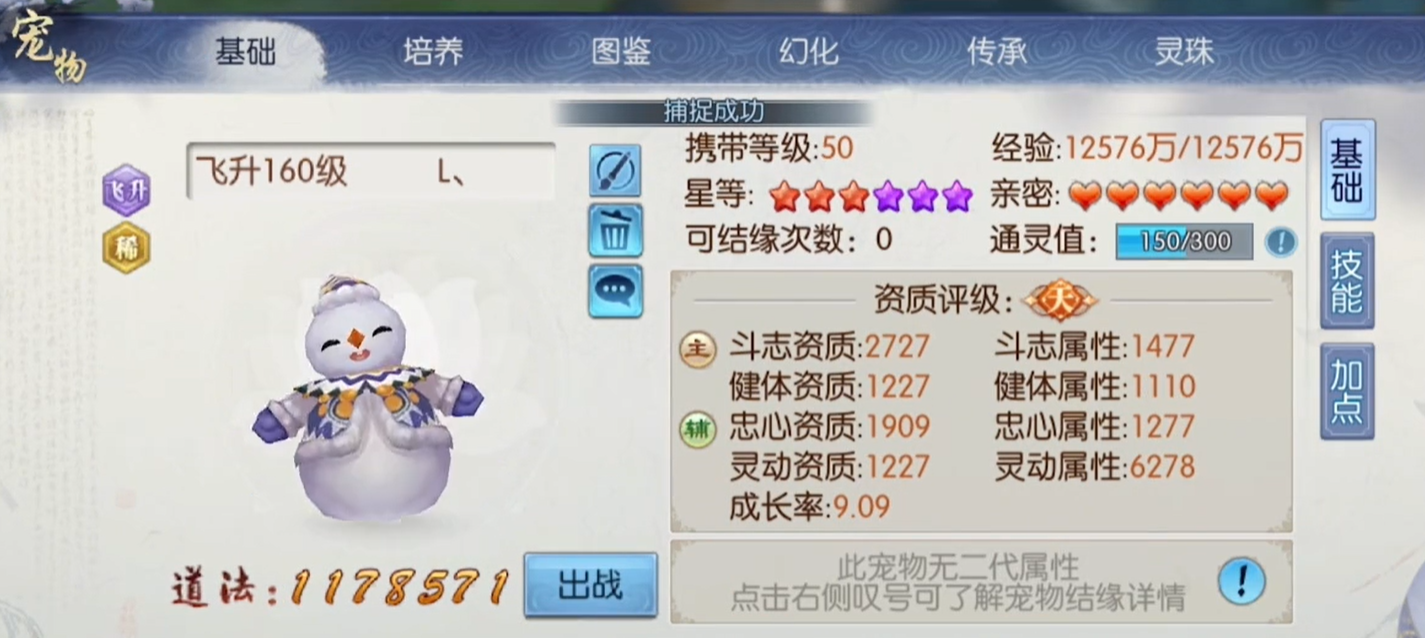 诛仙手游160级宠物在哪里抓