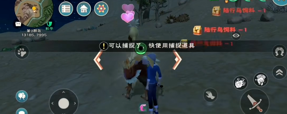 创造与魔法鸵鸟在哪里找到