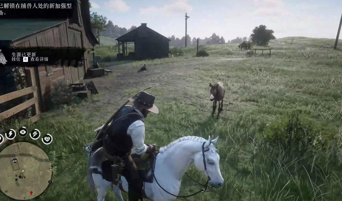 荒野大镖客2新手前期注意什么