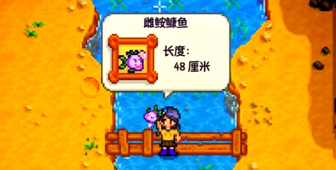 星露谷物语鱼王二代在哪里钓
