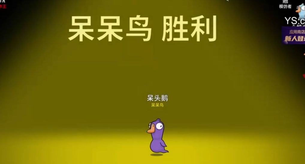 鹅鸭杀决斗呆呆鸟要做几个任务 鹅鸭杀决斗呆呆鸟要做几个任务