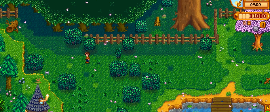 星露谷物语秘密森林在哪里