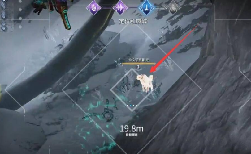 星际战甲小动物怎么抓