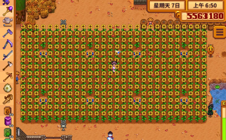 星露谷物语太阳花怎么获得