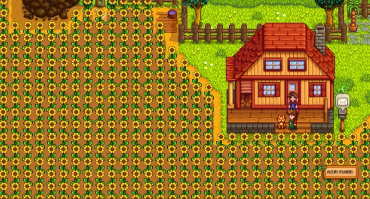 星露谷物语太阳花怎么获得